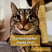Texte schreiben lassen